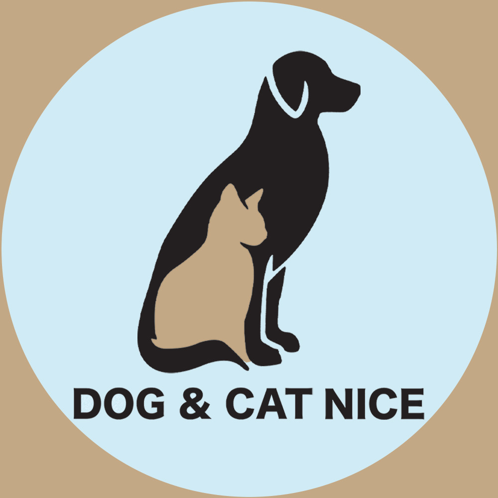 Dog&Cat-Nice